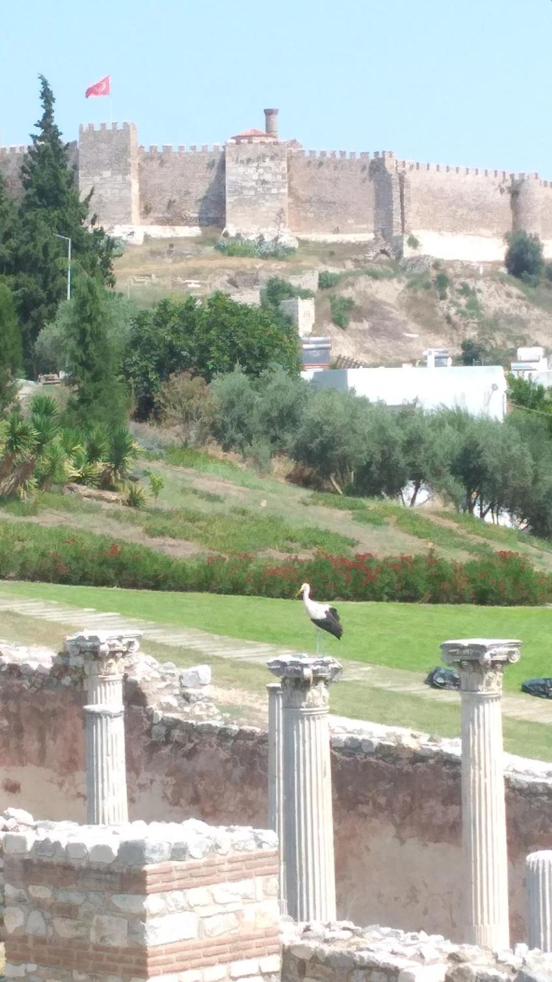 Ephesus Selcuk Castle View Suites Kültér fotó